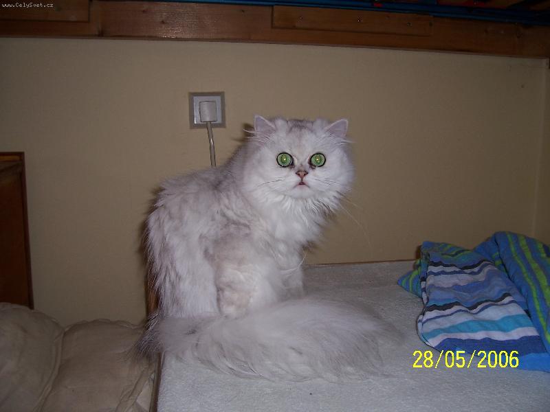 Foto: M�m to shrnen� z�da!!