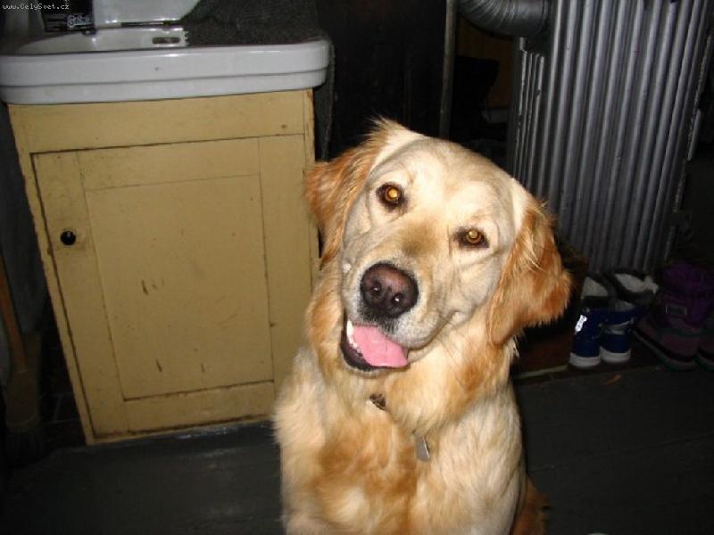 Foto: B�ra-Co to d�l�, �lov��e???