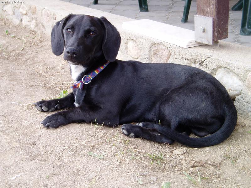 Foto: no nejsem fe��k