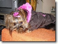 Na�e fotomodelka Eli�ka