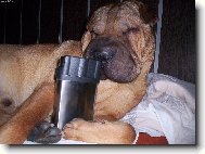 To m�m ale ��zen