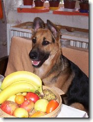 Argo�ek