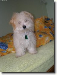 Laura 5 m�s�c�