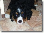 Na�e nov� �t���te�ko