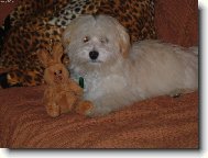 j� a m�j zaj�c