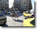 Aleppo